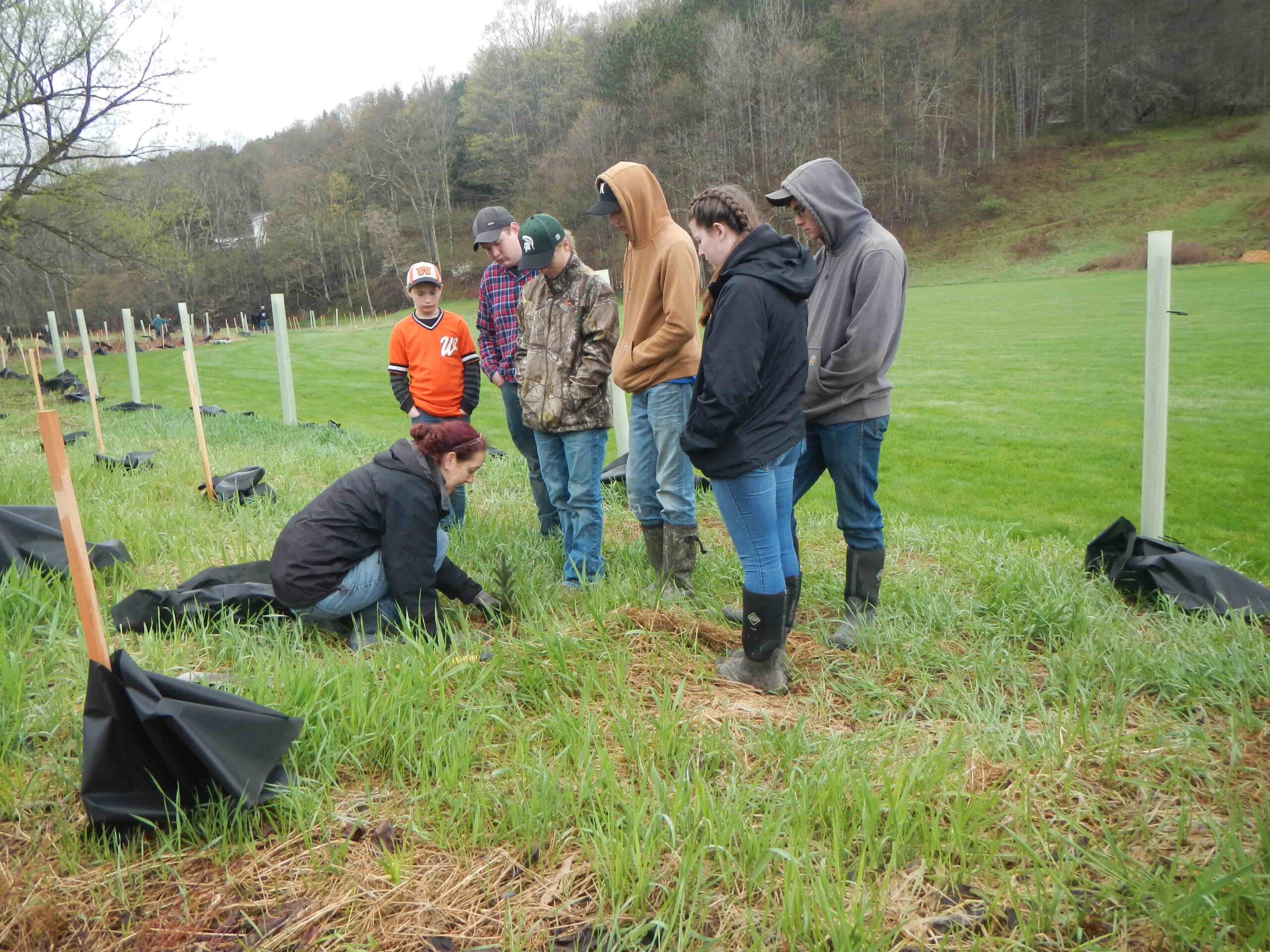 Catherine Skalda, DCSWCD Riparian Buffer Specialist & CSBI Program Coordinator shows a group how to correctly plant a tree. Landscape is a field bordered by forest.