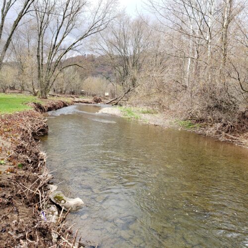 Walton Village's West Brook stream well bank stabilization project. Image shows stream and bank showing erosion pre-project.