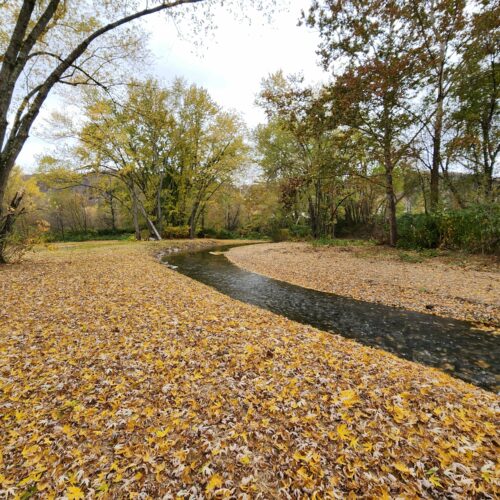 Walton Village's West Brook stream well bank stabilization project completion showing restored stream and banks.