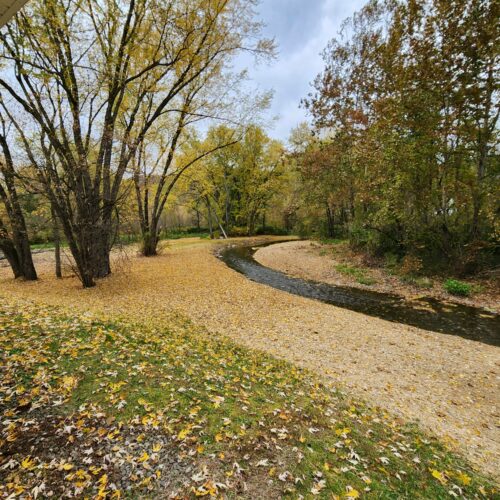 Walton Village's West Brook stream well bank stabilization project completion showing restored stream and banks.