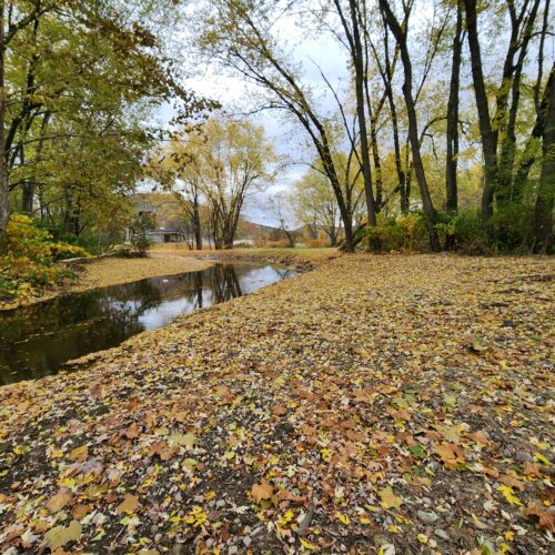 Walton Village's West Brook stream well bank stabilization project completion showing restored stream and banks.