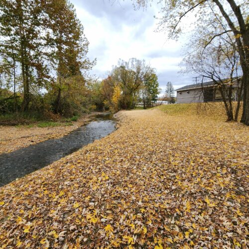 Walton Village's West Brook stream well bank stabilization project completion showing restored stream and banks.