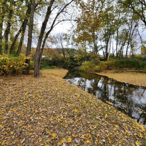 Walton Village's West Brook stream well bank stabilization project completion showing restored stream and banks.