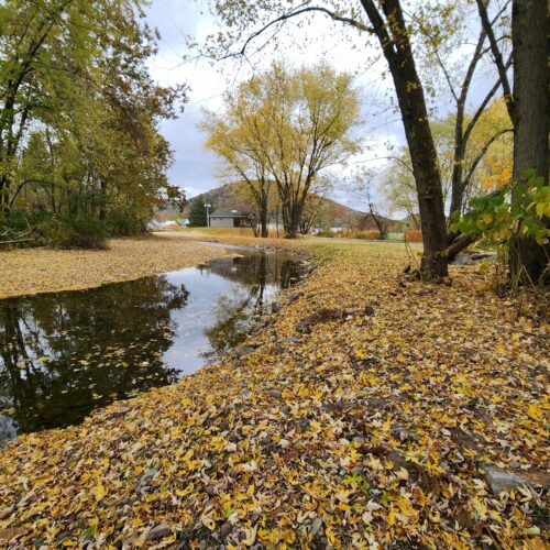 Walton Village's West Brook stream well bank stabilization project completion showing restored stream and banks.