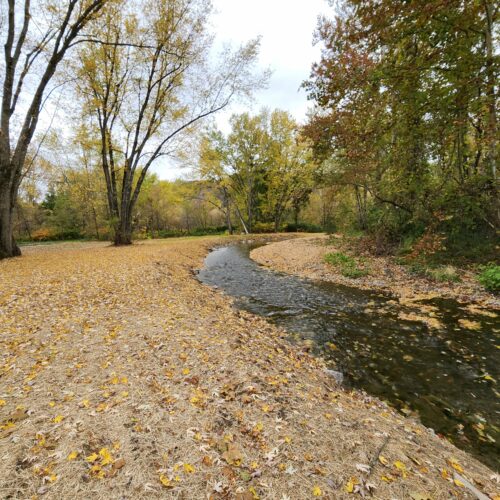 Walton Village's West Brook stream well bank stabilization project completion showing restored stream and banks.