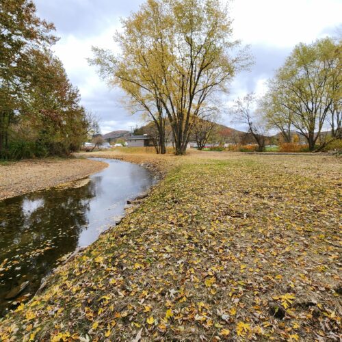 Walton Village's West Brook stream well bank stabilization project completion showing restored stream and banks.