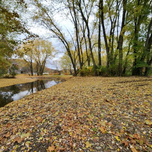 Walton Village's West Brook stream well bank stabilization project completion showing restored stream and banks.