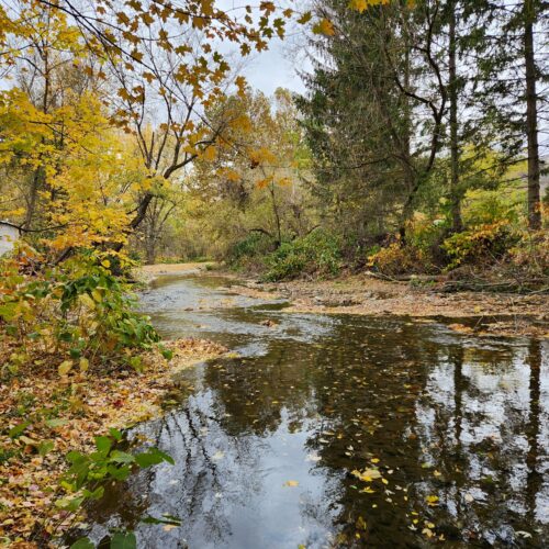 Walton Village's West Brook stream well bank stabilization project completion showing restored stream and banks.