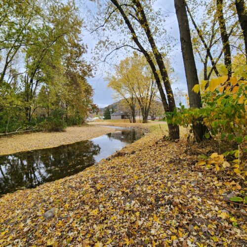 Walton Village's West Brook stream well bank stabilization project completion showing restored stream and banks.