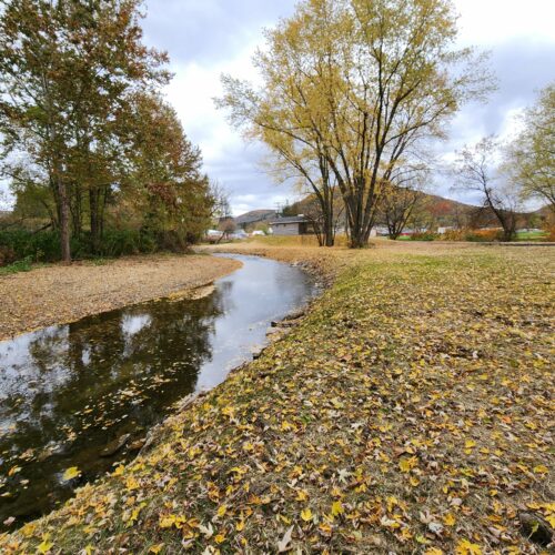 Walton Village's West Brook stream well bank stabilization project completion showing restored stream and banks.