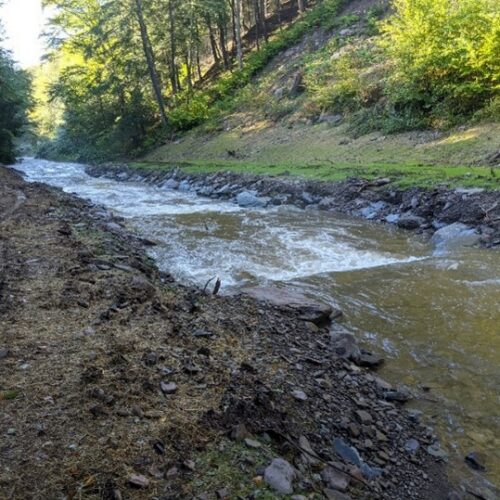 Approximately the same location after construction of floodplain benches along both streambanks and step-pools. The large woody debris has been removed.